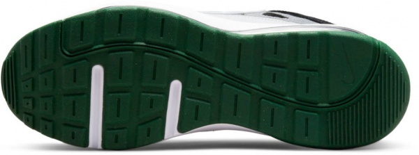 Кроссовки Nike NIKE AIR MAX AP CU4826-010 р.45,5 серый