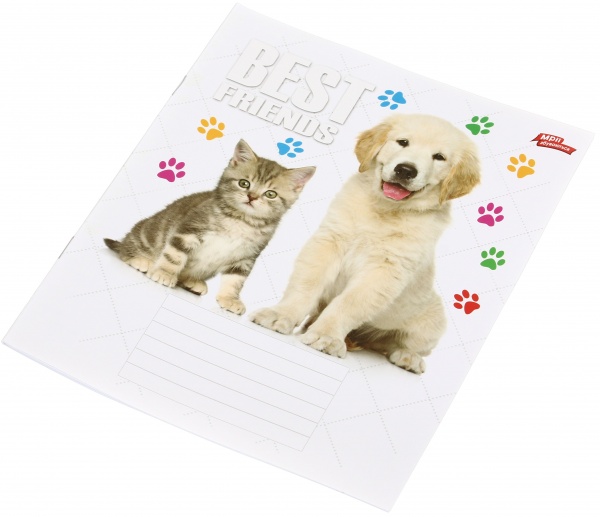 Зошит шкільний уф-лак 12 аркушів у клітинку в асортименті Мрії збуваються