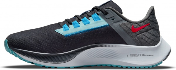 Кроссовки Nike Air Zoom Pegasus 38 Limited Edition DJ3129-001 р.US 8 разноцветный