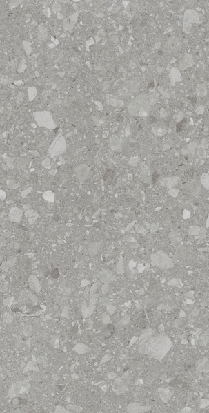 Плитка Allore Group Terra Grey F P R Mat (51,84) 60x120x8 