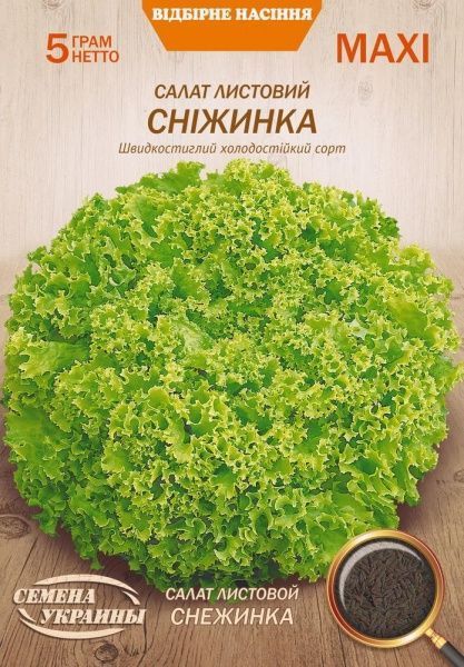 Насіння Семена Украины салат листовий Сніжинка 5г