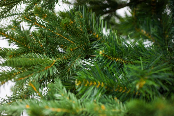 Искусственная елкаЭбби-180 зеленый 