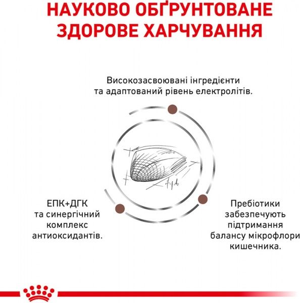 Корм для котів GASTRO INSTESTINAL FELINE (Гастроінтестінал Фелін), 2 кг