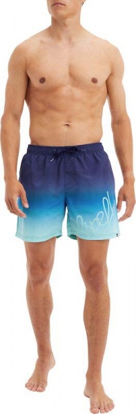 Шорты Firefly Yanu M 422170-518 р. S синий