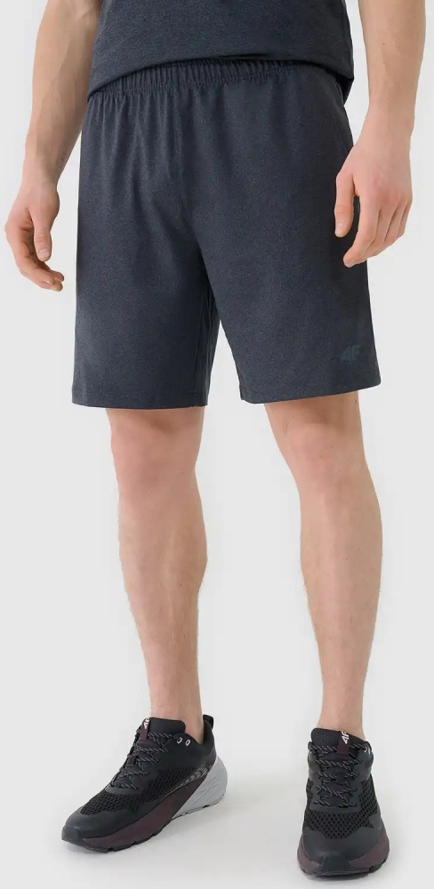 Шорты 4F SHORTS FNK M1277 4FWSS26TFSHM1277-22M р. 2XL серый