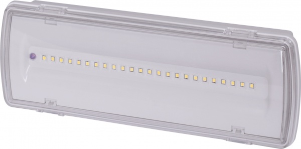 Светильник аварийный E.NEXT e.emerg.507L-24.led.Li.3h.IP65, не постоянный, 3 часа 24 LED белый l0660042 