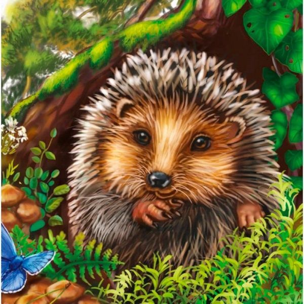 Книга Светлана Зайцева «Милі звірятка: Їжачок» 978-966-748-976-2