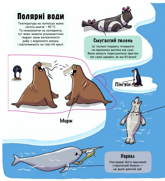 Книга Мартин Р. «Маленькие исследователи. Подводный мир» 978-617-7563-49-4