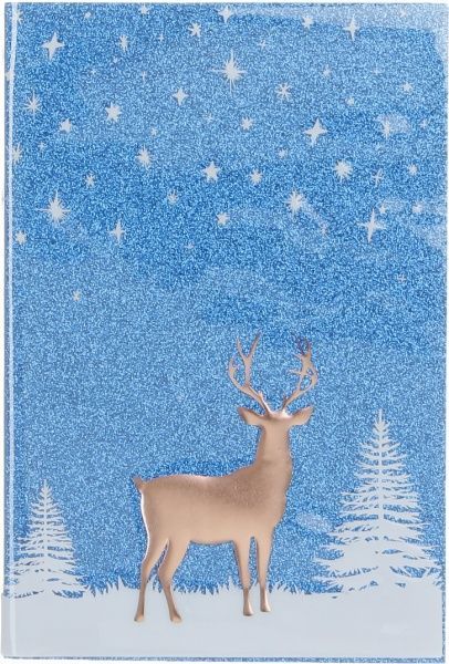 Набор принадлежностей новогодний Sparkle книга для записи А5 в линию 80 листов и пенал 