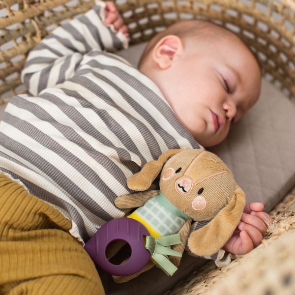 Брязкальце Taf Toys Садочок у місті Кролик Дженні 12995