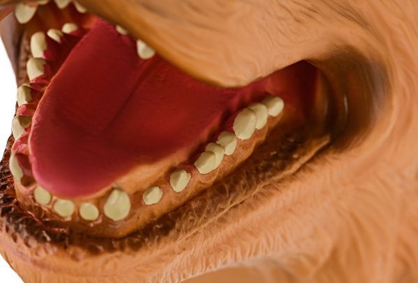 Іграшка-рукавичка Same Toy Собака Лабрадор X307UT