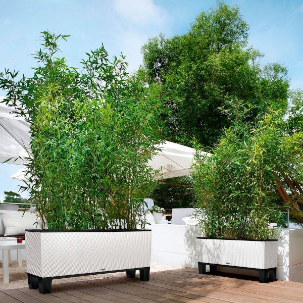 Вазон декоративный Lechuza Trio Cottage 30 прямоугольный 14л белый (15000) 