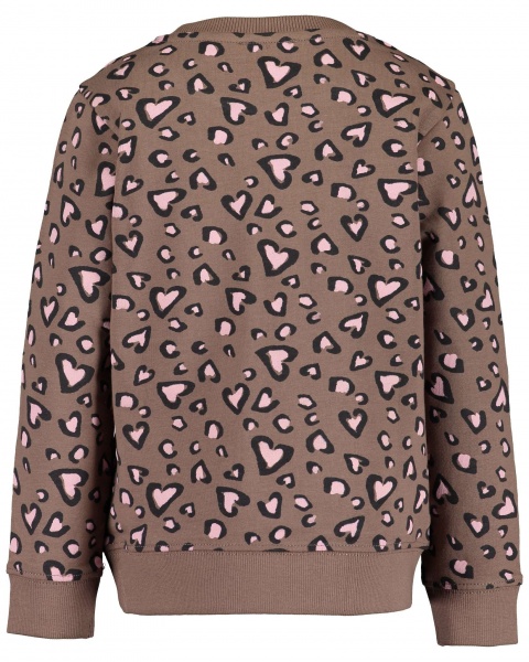 Реглан для дівчинки Blue Seven р.116 коричневий 717582 X_831_р.116 