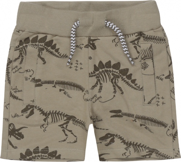 Шорты для мальчиков Dirkje р.86 шалфей T46608-35 