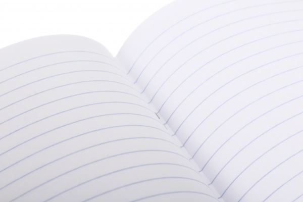 Тетрадь школьная Нимфа 24 листов линия Nota Bene