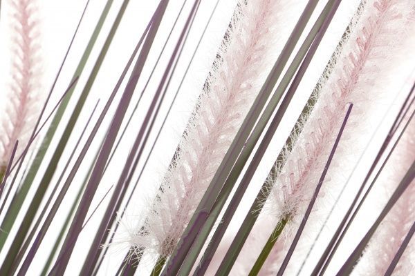 Растение искусственное Гребенник в пластиковом горшке 91 см