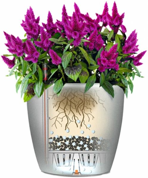 Вазон пластиковый Lechuza Classico Premium LS 43 круглый 67л коричневый 