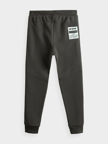 Брюки 4F J4Z20-JSPMD207A-22S р. 158 серый