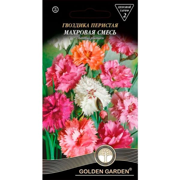 Семена Golden Garden Гвоздика Перистая Махровая Смесь (Голден Гарден) (4820164123812) 0.3 г
