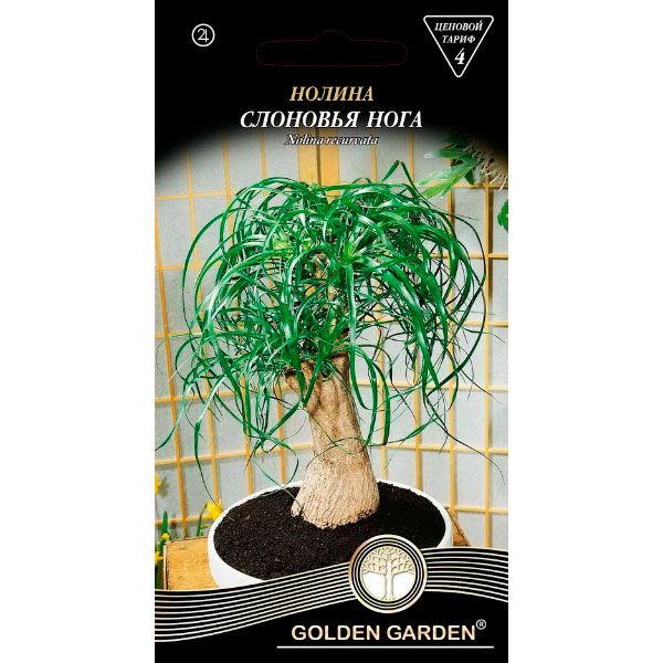 Семена Golden Garden Нолина Слоновья нога 4 шт