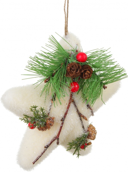 Декоративна підвіска Зірка 13 см 13 см EPI-F90484