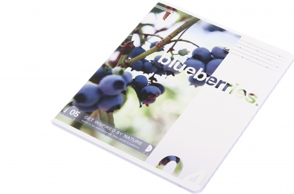 Тетрадь школьная Американская мечта 60 листов в линию Поділля