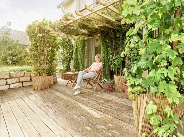 Секатор Bosch акумуляторний EasyPrune 06008B2000