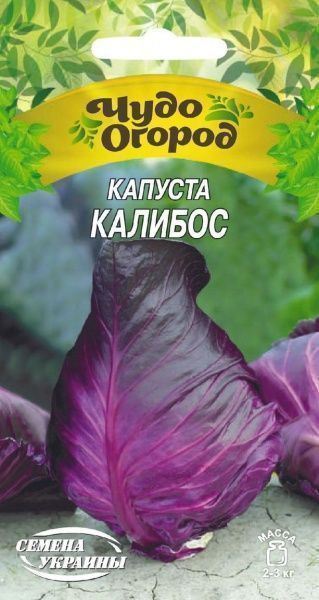Семена Семена Украины капуста краснокочанная Калибос 662600 0,5г