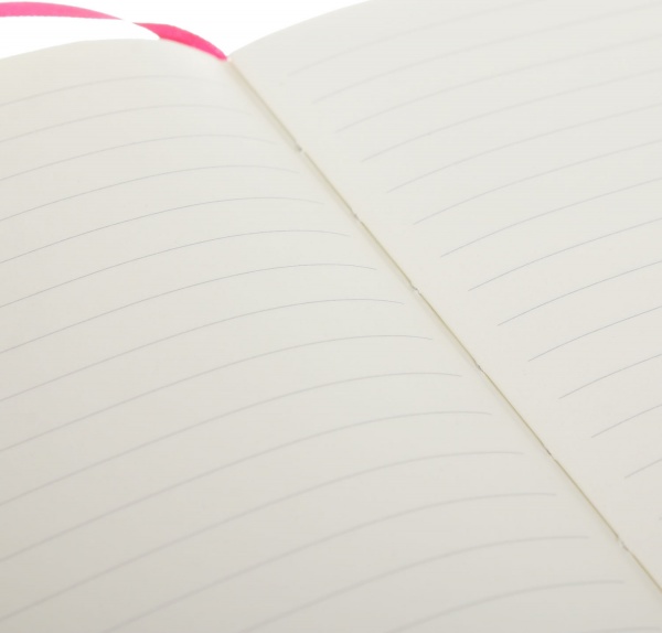 Книга для записей Ленивец-фотограф А6 96 листов