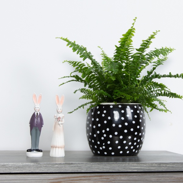 Кашпо керамическое МВМ DH-FLOWERS-27 BLACK 13 см Черный 