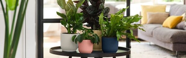 Вазон пластиковый Elho vibes fold round круглый 3,1 л желтый (481186) 