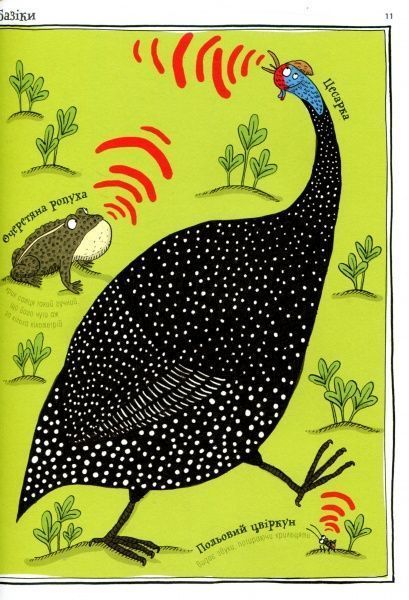 Книга Адриенн Барман «Тваринопедія. Зібрання найдивовижніших створінь на землі» 978-966-97639-3-8