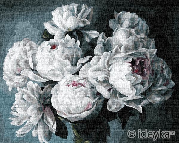 Картина за номерами Білосніжні півонії Ідейка 