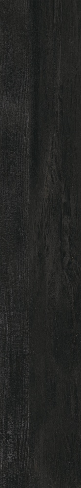 Плитка Allore Group Albero Black F PR R Mat 19,8x120 см