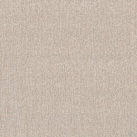 Шпалери зі спіненого вінілу Vinil Екхард ДХН-1367/3 1,06x10,05 м 