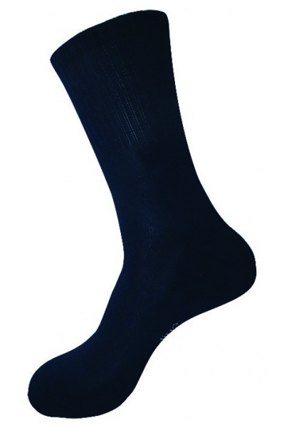 Носки мужские Sealine р. 25-27 синий 1 пар 0-011 