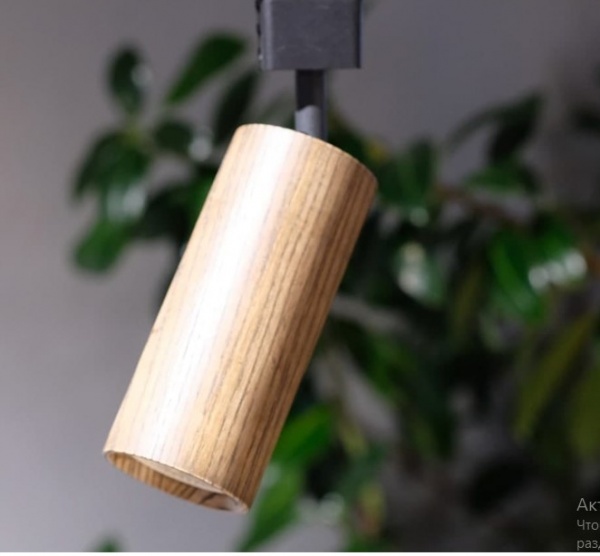 Трековый прожектор Iterna Leirvik ясень темный LW079 