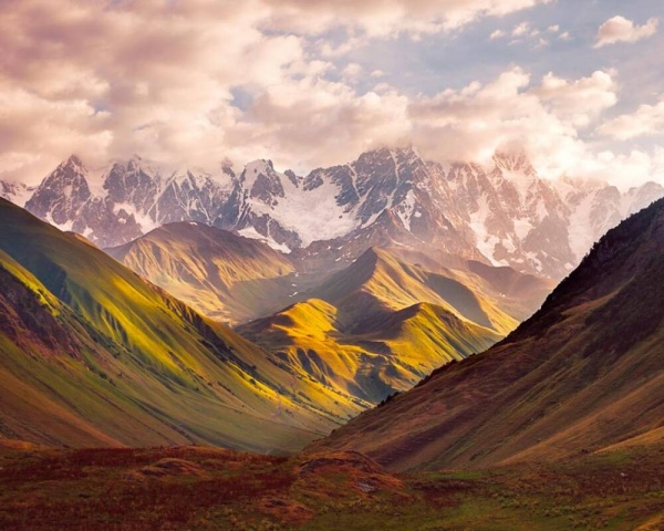 Шпалери A.S. Creation The Wall 371 см x 280 см 38257-1 0,53x20,1 м 