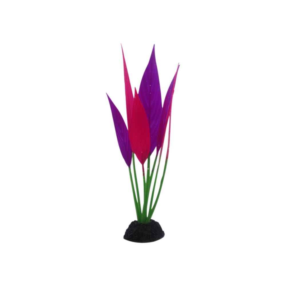 Декорація Deming Гігрофіла