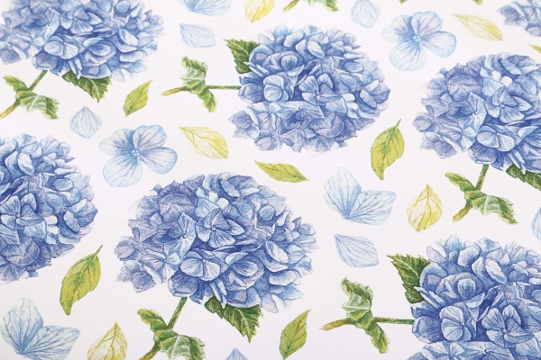 Бумага для упаковки Bourgeois 70x100 см 