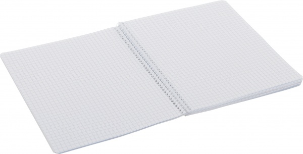 Тетрадь школьная фиолетовый Мечты сбываются