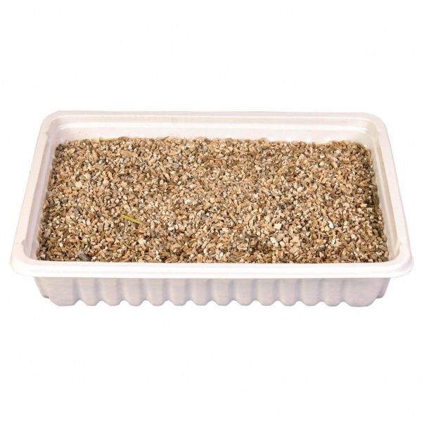 Трава Trixie для кішок 100 г пакет 4235