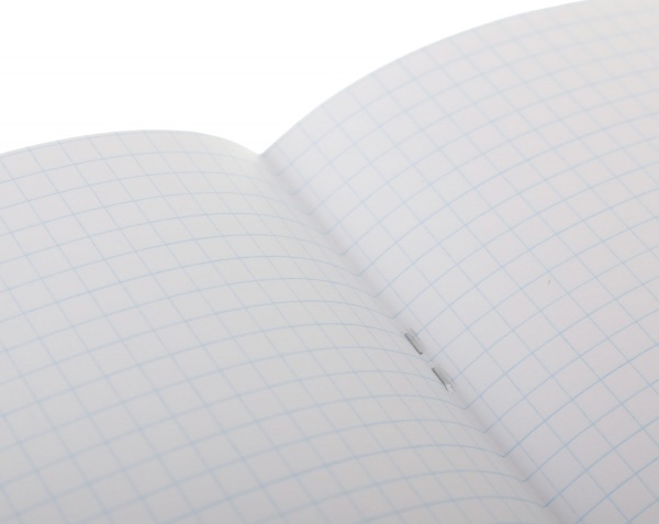 Тетрадь школьная Tadward 12 листов клетка