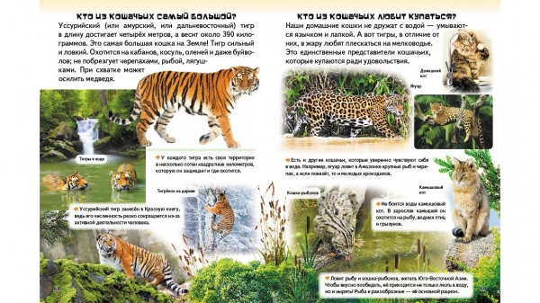 Книга «Удивительная энциклопедия о животных в вопросах и ответах» 978-966-947-326-4