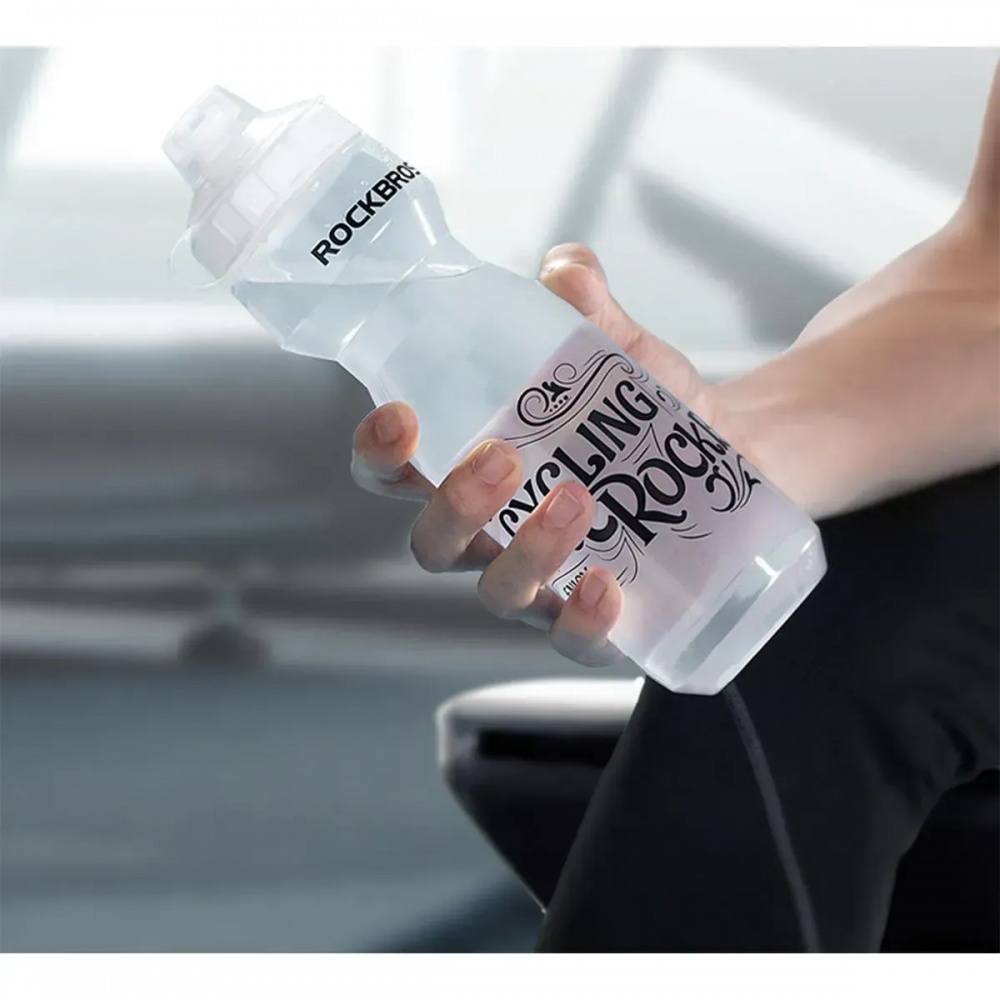 Фляга ROCKBROS DCBT69D 750 мл прозорий