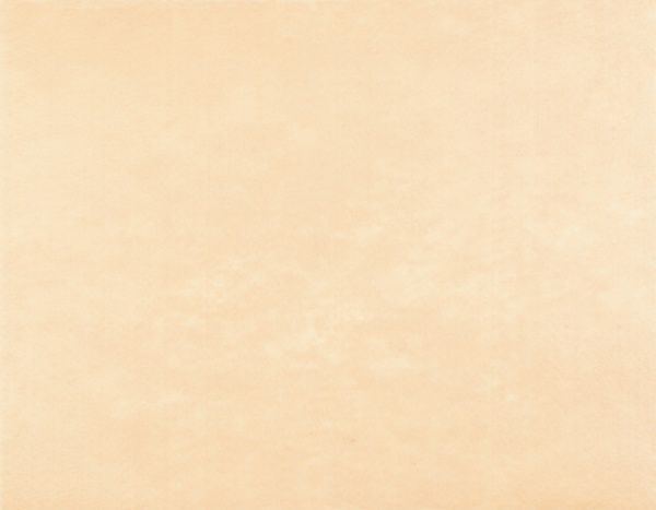 Фетр бежевий,  1 мм, 42,5x33 см