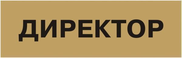 Табличка Директор 250х80 мм латунь