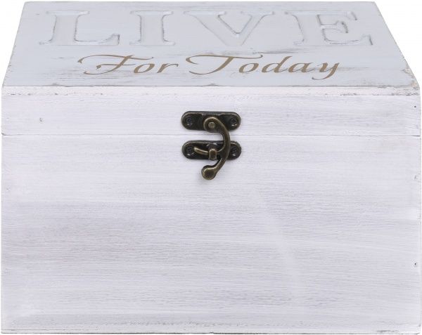 Сундучок Live SH72308-M 28х18х18 см