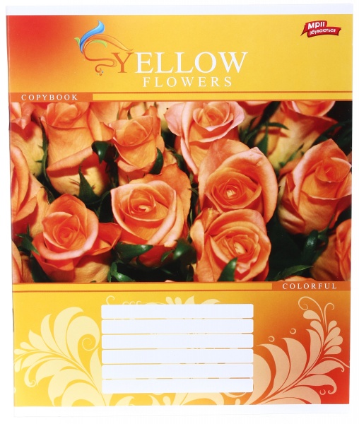 Зошит шкільний 24 аркуша у клітинку в асортименті Мрії збуваються