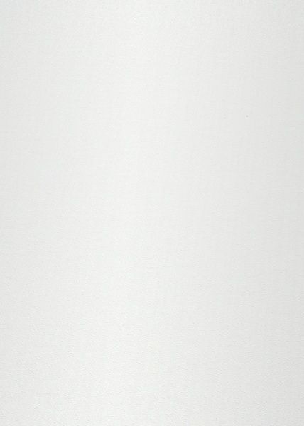 Шпалери вінілові на флізеліновій основі Erismann Fashion For Walls 2 12035-01 1,06x10,05 м 